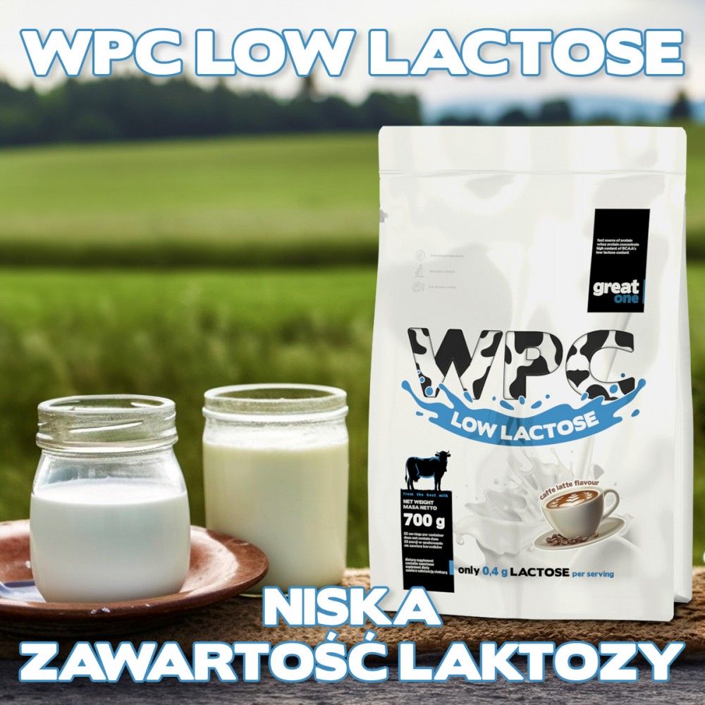 WPC Low Lactose 700g Great One